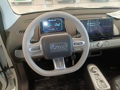 Changan Lumin Treasure Edition 205km Cool Love White CATL - фото 10