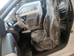 Changan Lumin Treasure Edition 205km Cool Love White CATL - фото 14