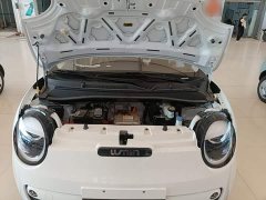 Changan Lumin Treasure Edition 205km Cool Love White CATL - фото 19