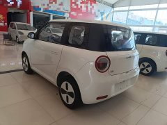 Changan Lumin Treasure Edition 205km Cool Love White CATL - фото 4