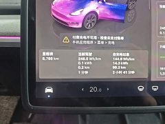 Tesla Model Y Rear-Wheel Drive - ფოტო 11