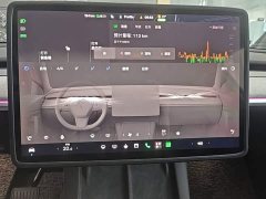 Tesla Model Y Rear-Wheel Drive - ფოტო 12