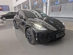 Tesla Model Y Rear-Wheel Drive - ფოტო 3