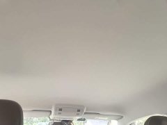 Volkswagen Polo Plus 1.5L Automatic Passion Lifestyle Edition - ფოტო 17