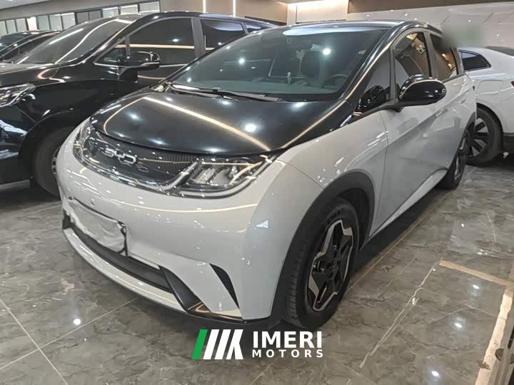 BYD Dolphin 405km Freedom Edition