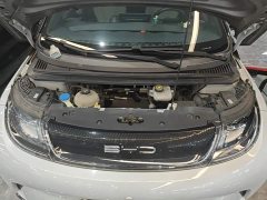 BYD Dolphin 405km Freedom Edition - ფოტო 19