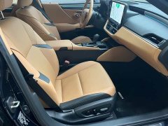 Lexus ES 200 Premium Edition - ფოტო 12