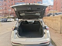 Neta U Nezha U-II Challenge Edition 500 UXiu Lithium iron phosphate - photo 18
