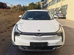 Neta U Nezha U-II Challenge Edition 500 UXiu Lithium iron phosphate - photo 2