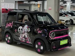 Geely Panda 200km Panda Kart - ფოტო 1