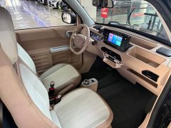 Geely Panda 200km Panda Kart - ფოტო 6