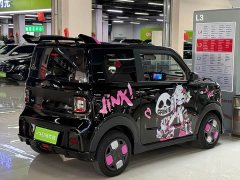 Geely Panda 200km Panda Kart - ფოტო 9