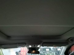 GAC Aion M6 PRO 270T Automatic Luxury - ფოტო 17
