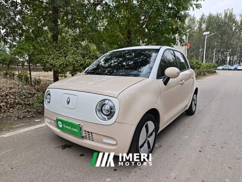 2022 Ora Black Cat 301km Base Ternary Lithium - ავტომობილი ჩინეთიდან
