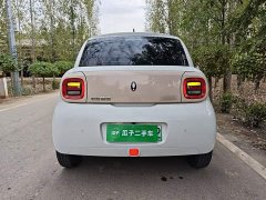 Ora Black Cat 301km Base Ternary Lithium - ფოტო 5