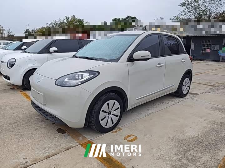 Wuling Binguo 203km Light Enjoy Edition - car from China