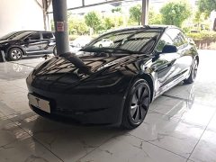 Tesla Model 3 Rear-Wheel Drive - photo 1