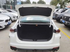 Trumpchi Leopard 270T DCT J16 - ფოტო 18