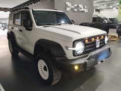 Tank 300 2.0T Conqueror - ფოტო 3