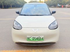 Wuling Binguo 333km Lingxi Connected Edition - фото 2