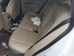 Buick Regal 552T Elite - photo 16