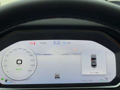Tank 700 New Energy Hi4-T Extreme Edition - фото 18