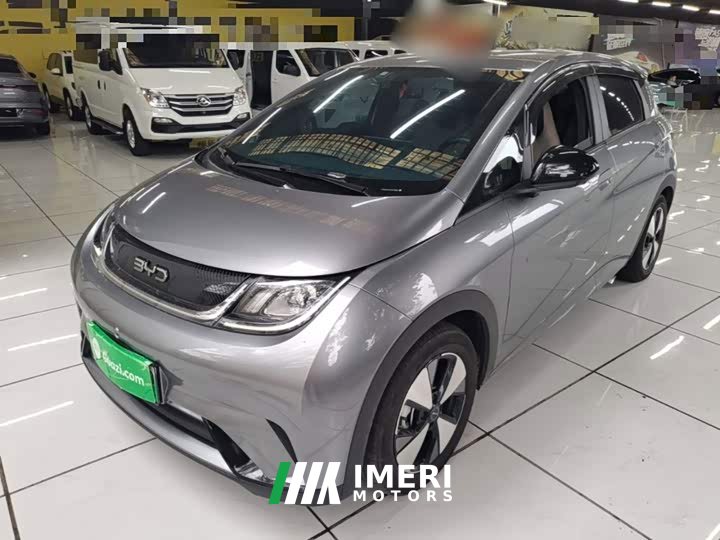 BYD Dolphin 420km Freedom Edition