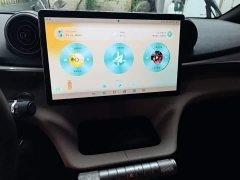 BYD Dolphin 420km Freedom Edition - ფოტო 12