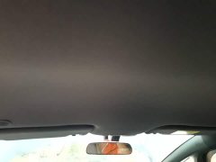 BYD Dolphin 420km Freedom Edition - ფოტო 17