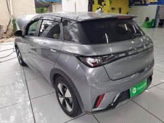 BYD Dolphin 420km Freedom Edition - ფოტო 4