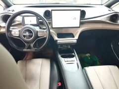 BYD Dolphin 420km Freedom Edition - ფოტო 9