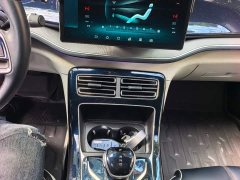 BYD Qin Plus DM-i 120KM Flagship - ფოტო 13