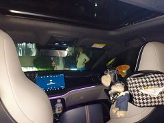 BYD Qin Plus DM-i 120KM Flagship - ფოტო 8