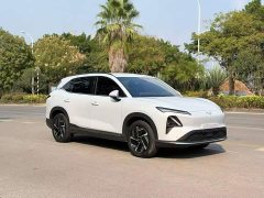 Wuling Xingguang S 510km Pilot Edition - ფოტო 3
