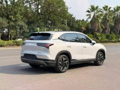Wuling Xingguang S 510km Pilot Edition - ფოტო 6
