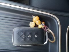 Wuling Xingguang S 510km Pilot Edition - ფოტო 8