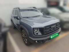 Great Wall Dachshund 1.5T DCT Border Collie Edition - ფოტო 5