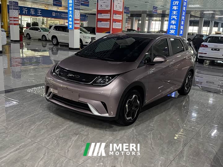 BYD Dolphin 405km Freedom Edition