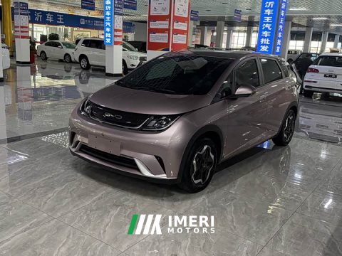 2022 BYD Dolphin 405km Freedom Edition - автомобиль из Китая