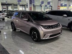 BYD Dolphin 405km Freedom Edition - ფოტო 3