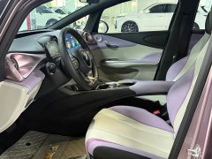 BYD Dolphin 405km Freedom Edition - ფოტო 4