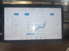 BYD Song Pro New Energy Champion Edition DM-i 71KM Exceed - ფოტო 12