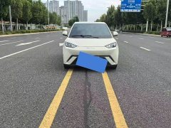 BYD Seagull Glory Edition 405km Flying Edition - фото 2