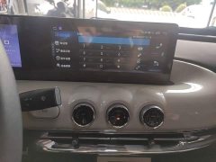 Wuling Binguo 333km Joy Edition - ფოტო 12