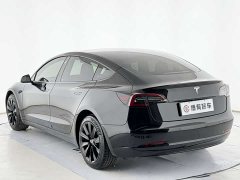 Tesla Model 3 Rear-Wheel Drive - фото 10