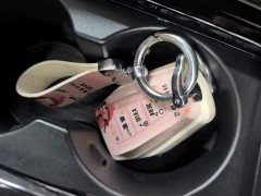 Geely Xingrui Dongfang Yao 1.5TD Fuyao Edition - photo 8