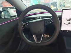 Tesla Model 3 High Performance All-Wheel Drive - ფოტო 10
