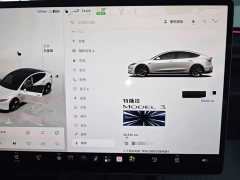 Tesla Model 3 High Performance All-Wheel Drive - ფოტო 11
