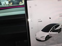Tesla Model 3 High Performance All-Wheel Drive - ფოტო 13