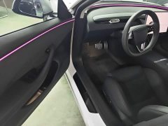 Tesla Model 3 High Performance All-Wheel Drive - ფოტო 15